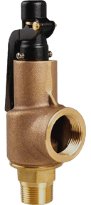 High Capacity Safety Valves